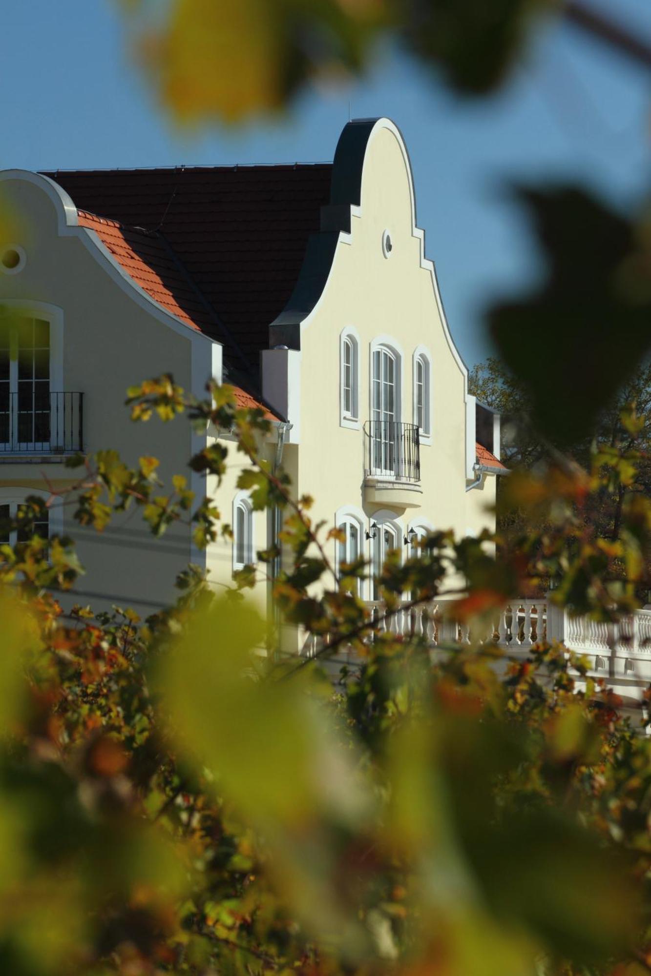 Liszkay Borkuria Hotel Monoszlo Bagian luar foto