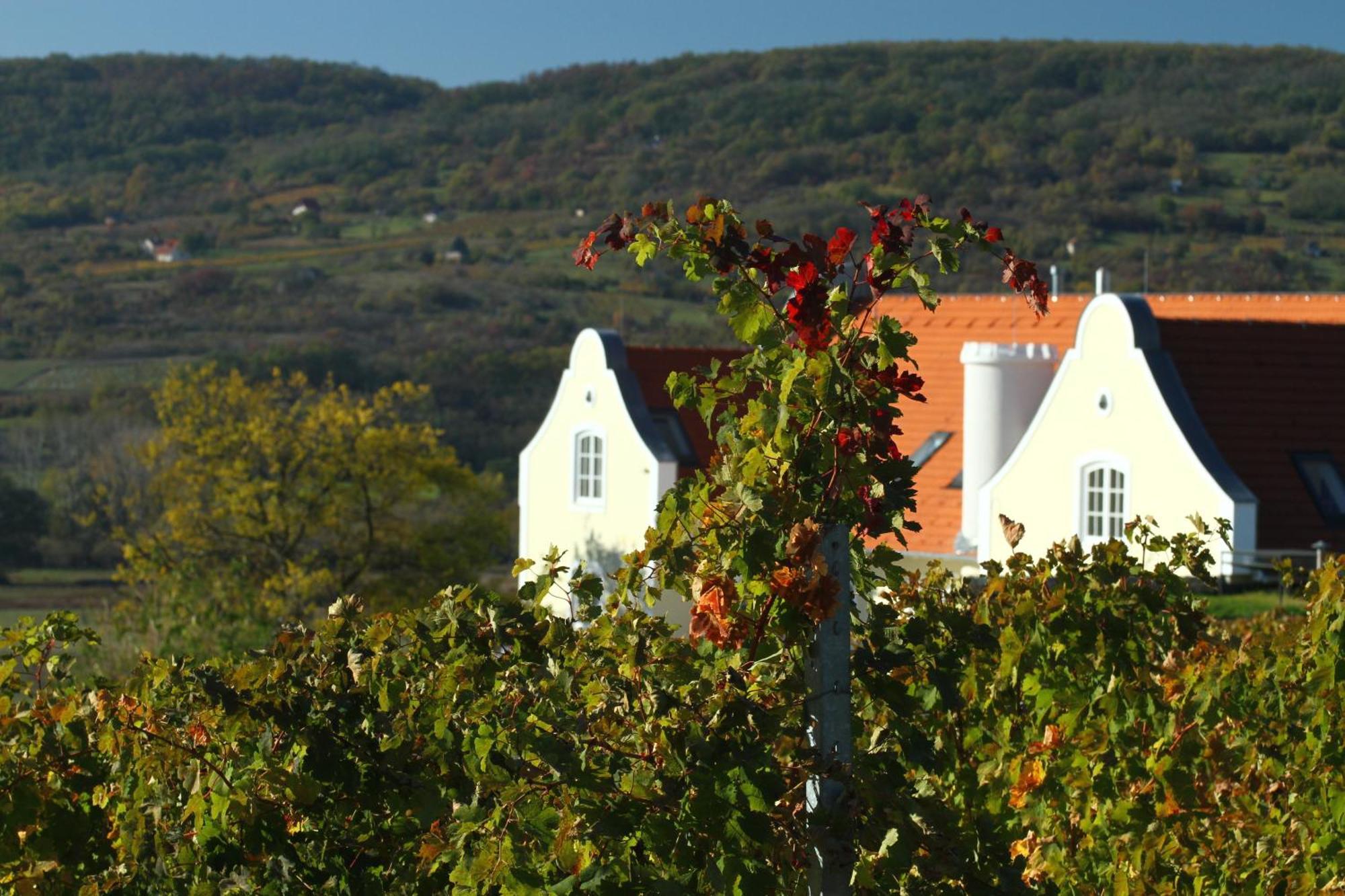 Liszkay Borkuria Hotel Monoszlo Bagian luar foto