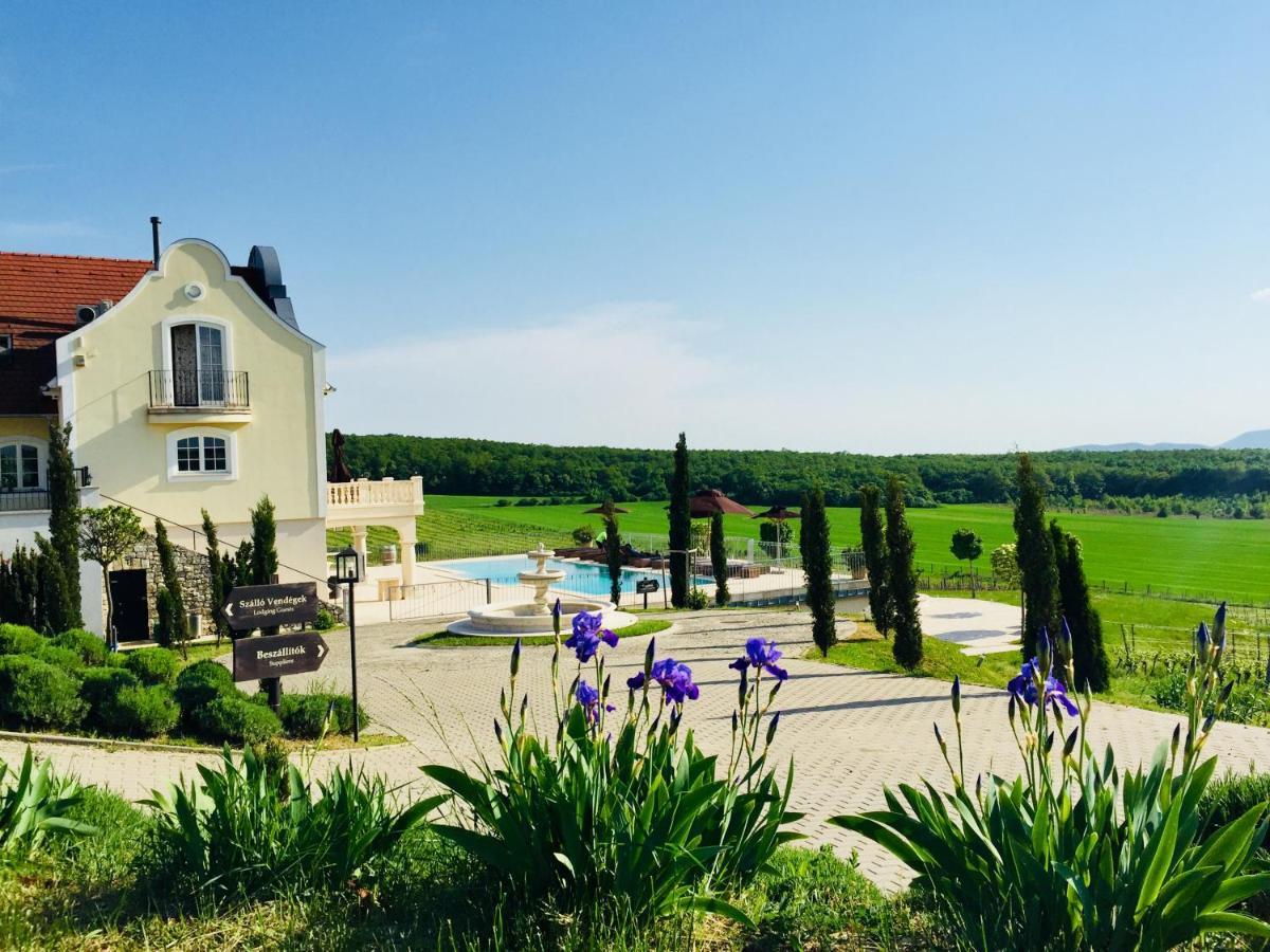 Liszkay Borkuria Hotel Monoszlo Bagian luar foto